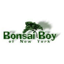 Bonsaiboy Logo